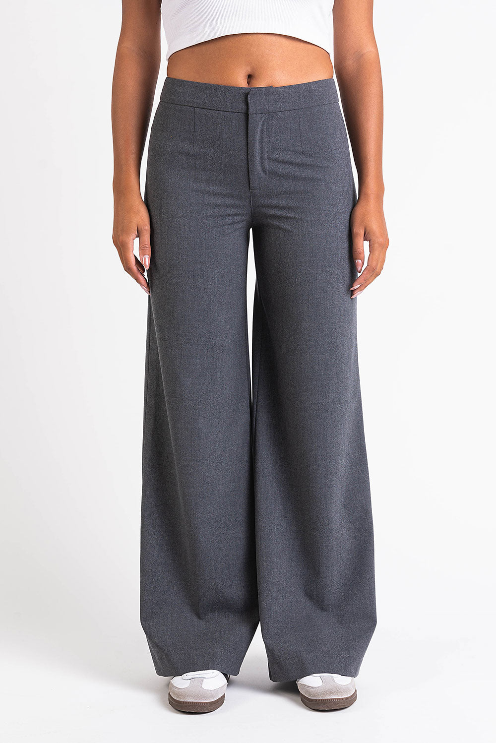 Ciara 01High Wide Suit Pants - Grey