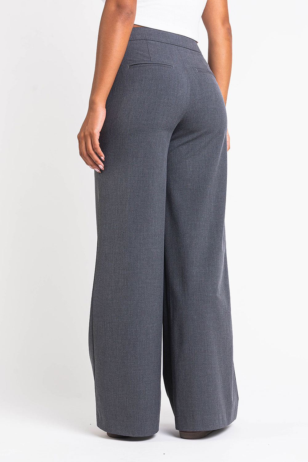 Ciara 01High Wide Suit Pants - Grey