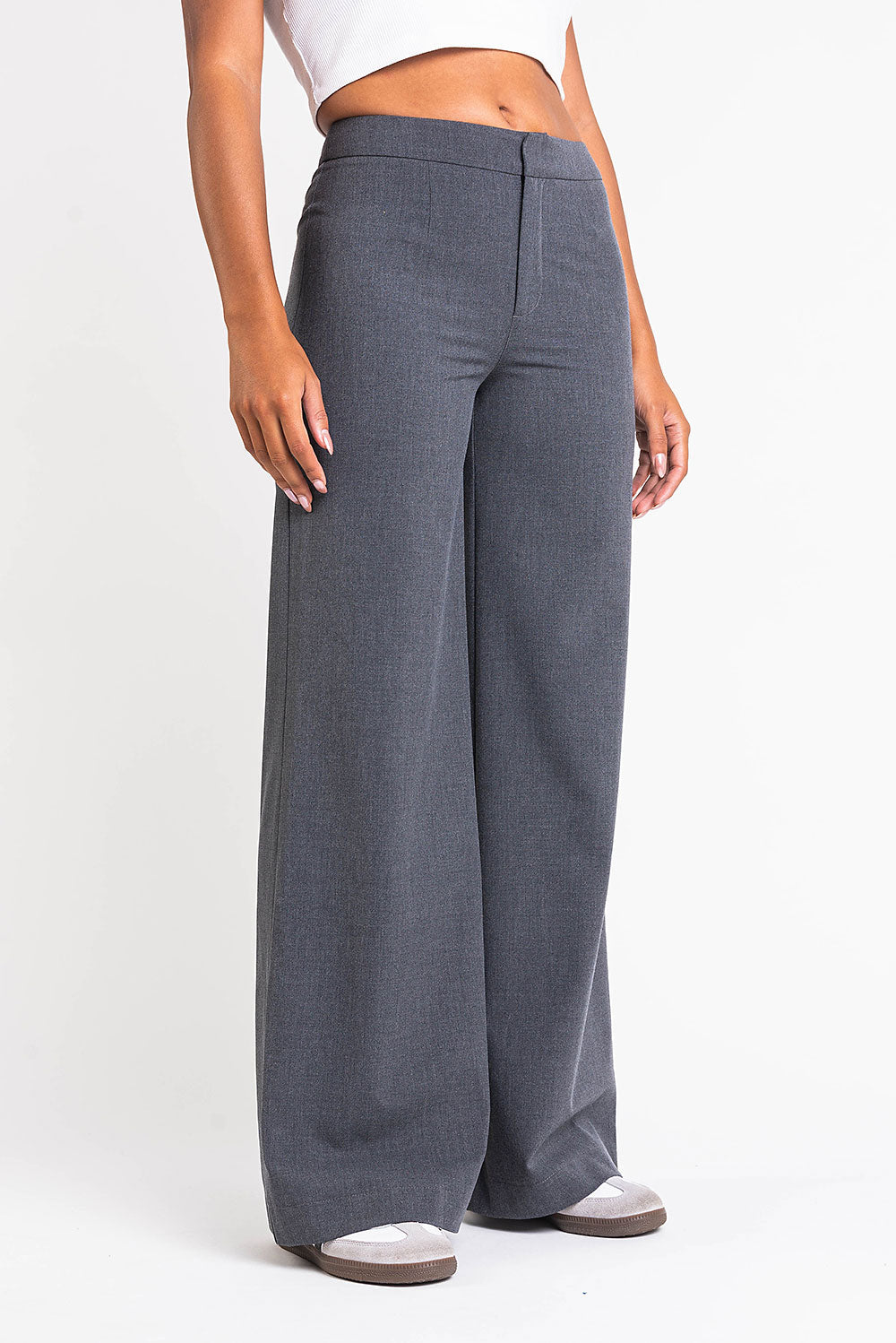 Ciara 01High Wide Suit Pants - Grey